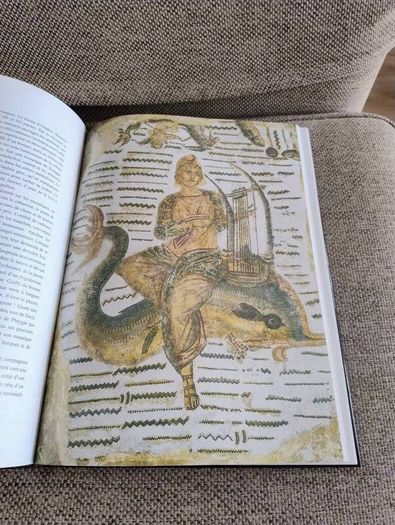 La Mosaique en Tunisie the mosaics of Tunisia large coffee table book in very good condition with no issues 270 pages with lots of pictures etc see photos FREE STANDARD POSTAGE INCLUDED