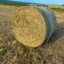 Hay for Sale Image 5