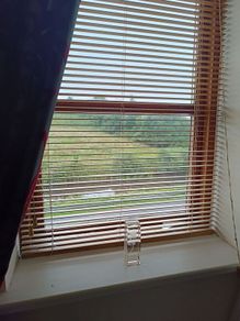 wooden blinds