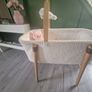 Moses Basket Image 2