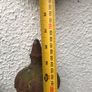 Iron antique railings fencing Image 4
