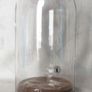 Glass dome with base Image 2