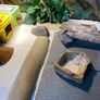 vivarium Image 8