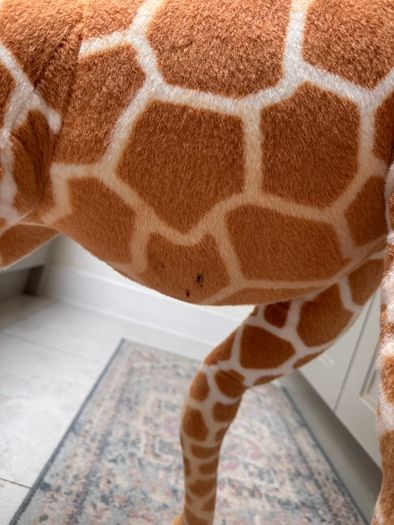 giraffe