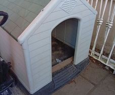 Dog kennel