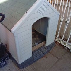 Dog kennel