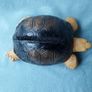 Turtle Door Stop, shoe cleaner. Lifesize and heavy Image 3