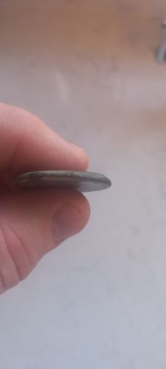 Roman Republican Coin