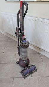 Dyson Ball Animal