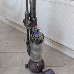 Dyson Ball Animal