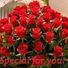 annali
