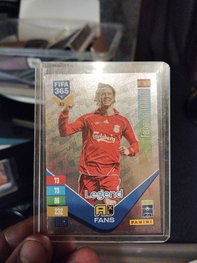 Fernando Torres