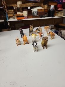 Dog collection