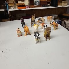 Dog collection