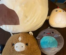 Collection of four Squishmallows plush toys, plus Micromallows