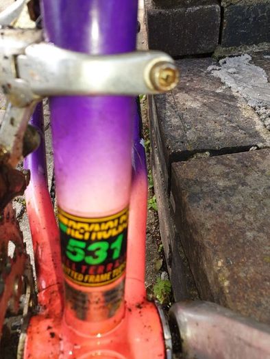 Raleigh Moonshine MTB