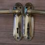 Brass Door Handles Image 3