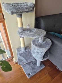 cat scratch tree