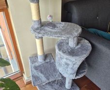 cat scratch tree