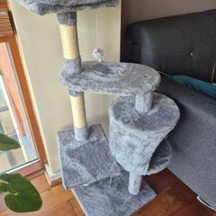 cat scratch tree