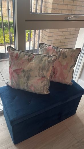 Pink & Grey Velvet Cushions