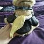 The Bear Collection - Pilot Bear Image 2