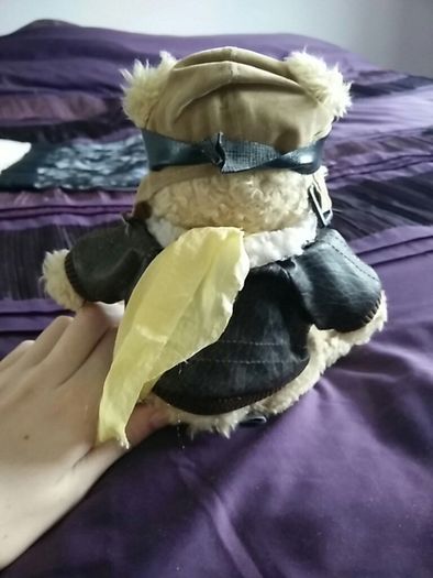The Bear Collection - Pilot Bear