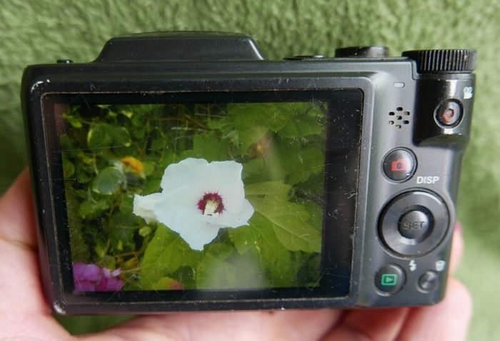Maginon SZ-24 Digital Compact Camera 16,1MP - 24 x Optical Zoom Tested (battery cover is missing)