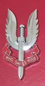 Metal SAS badge .