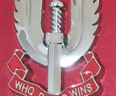 Metal SAS badge .