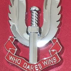 Metal SAS badge .