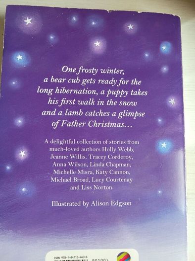 winter wonderland book