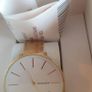 New Ladies Skagen Watch Image 5