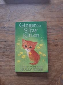 Ginger the stray kitten