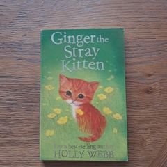 Ginger the stray kitten