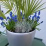 Lechuza planter Image 3