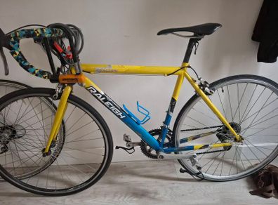 Raleigh bike