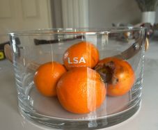 LSA Fruit bowl