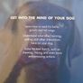 Know your Dog, Dr. David Sands, Hardback book, Non Fiction, Image 10