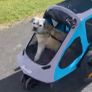 pet stroller Image 2