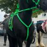 Yoni race harness Image 4