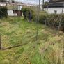 dog run Image 6