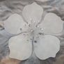 Wall decor silver metal flower/starburst  wall art with clear acrylic beads Image 2