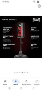 Free standing boxing bag