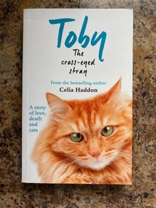 Book - Toby The Cross- Eyed Stray  by Celia Haddon