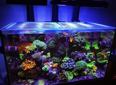 Redsea 350l Lid