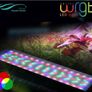 Chihiros WRGB SLIM 60 II - (60-80cm) With Bluetooth Controler Image 9