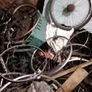 Massive Garage Sale And Clearance There Is Lots Of Push Bikes For Parts Or Repairs There Is Motorcycle Parts And Bikes Sorry Can't Get To Many Pictures A Lot Of Stuff Buried Under Frames Would Love To Sell The Lot In One Go You Must Be Able To Transport T Image 8
