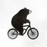 Bearonabike