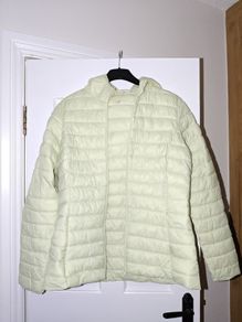 Lime Green Jacket